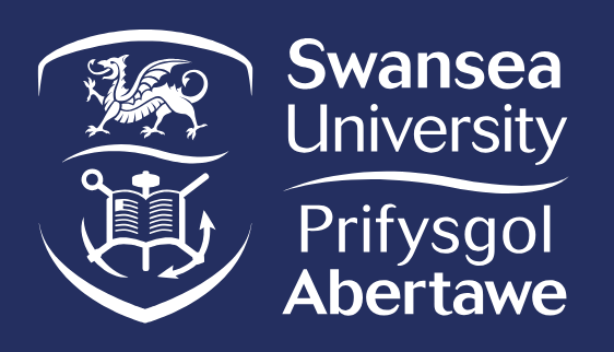 The College, Swansea University